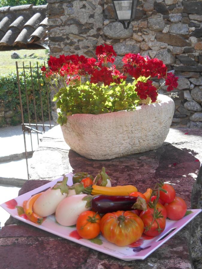 Guest house De Ribard *